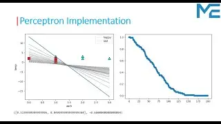 Lecture 59: Perceptron Algorithm Implementation