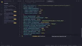 VS Code for AdonisJs Development #4 - Standard Style