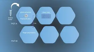 Combined Preimplantation Genetic Testing Workflow