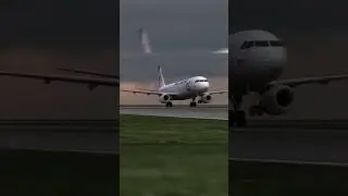 Птицы против самолёта 🦅✈️