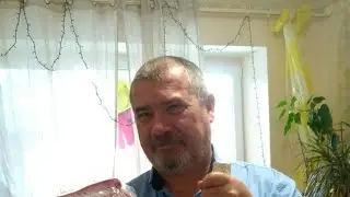 Ваши Вопросы ,Мои Ответы !