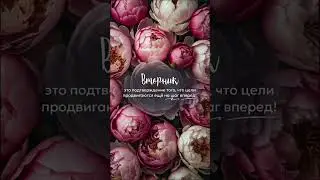 #контент на утро вторника #телеграм ник @makovkaAV