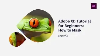 Adobe XD Tutorial for Beginners: How to Mask | UX/UI Design