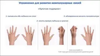 Упражнения для развития межполушарных связей