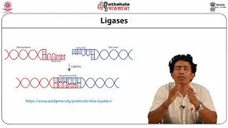 Genetic Engineering and Applications