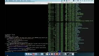 Как скопировать файл с удаленного сервера linux на локальную машину macOS