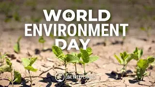 Restoration for World Environment Day | One Tree Planted