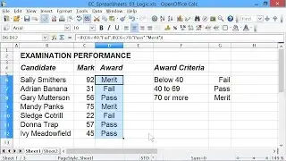 Spreadsheets #3: IF Statements