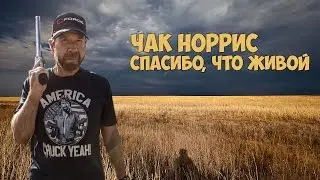 Чак Норрис. Спасибо, что живой