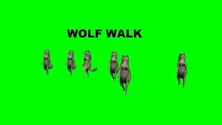 Wolf Walk No 2 Green Screen