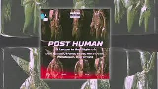 [100% Royalty Free/Free Download] Don Toliver x Travis Scott Loop Kit - "Post Human" | (18) Loops |