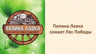 Папина Лавка сажает Лес Победы