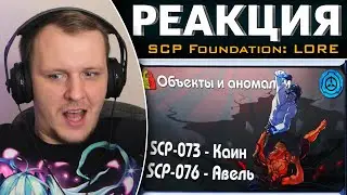 [ SCP-объекты и аномалии | SCP-073 - Каин и SCP-076 - Авель ] | Реакция