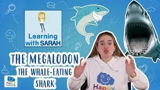 MEGALODON: THE WHALE EATING SHARK | LEARNING WITH SARAH | Educational Videos for Kids