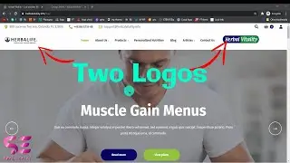 How to add Multiple Logos to WordPress Website | Multiple version | Custom image