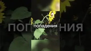 Что будет если СЛОМАТЬ УРОВЕНЬ Закулисья?