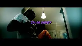 Don Diddy - Im So Saucy (Official Music Video)