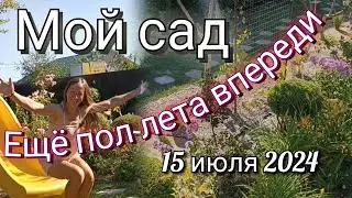 Июль в саду! Шикарный аромат и незабываемые краски лета! Все в сад! Прогуляемся?
