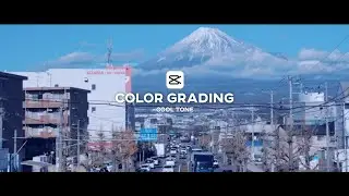 Capcut Color Grading | Cool Tone | Tutorial