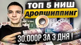 200 000 за месяц! ТОП 5 Ниш для дропшиппинга 2024