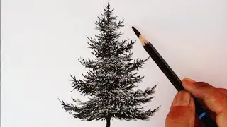 Christmas tree drawing, angle tree drawing, pencil drawing art.