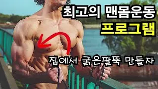 집에서 팔뚝 굵어지는 최고의 맨몸운동 프로그램 / 맨몸운동, 홈트, 이두, 삼두