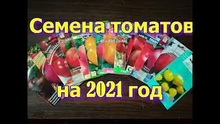 Обзор семян томатов на 2021 год