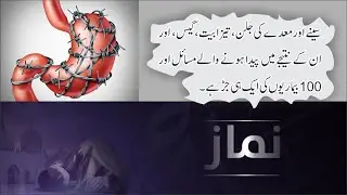 Gastrointestinal problems 🔥 معدے کے مسائل کی ایک جڑ