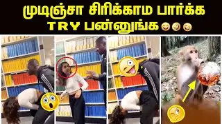 TRY TO NOT LAUGH 🤣😆| funny Video | Troll