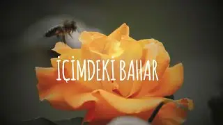 Serhat Erdem & Hiçkimse - İçimdeki Bahar @Hickimsepiano