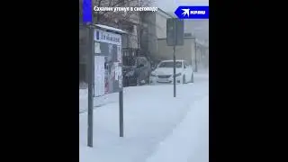 Сахалин завалило снегом