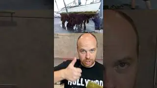 Как делают нори пока никто не видит?! 😱
