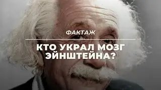 КТО УКРАЛ МОЗГ ЭЙНШТЕЙНА?