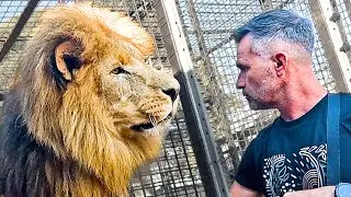 LION CHALLENGE with Kevin Richardson | The Lion Whisperer