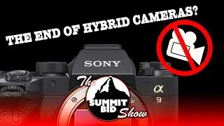 Are Hybrid Cameras Dying?