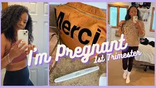 Pregnancy Vlog: First Trimester [How I feel, Hanging in LA, Telling my Parents!]