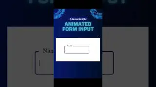 Animated Form Input 