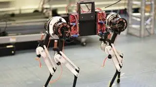 Robot dog learns to walk in one hour | Morti The Robot Dog