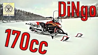 Снегоход DiNGo T150 . Замена поршневой на 170СС