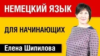 Немецкий язык для начинающих - Елена Шипилова и speakasap.com