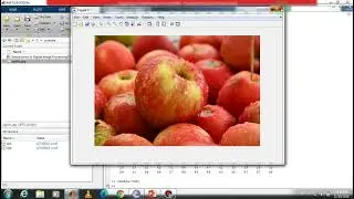 Introduction to Digital Images