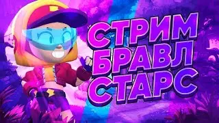 СТЕНДОФЕР УЧИТСЯ ИГРАТЬ В КС 2!#shorts