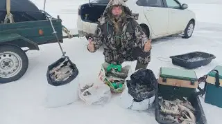 О ТАКОЙ РЫБАЛКЕ МЕЧТАЕТ КАЖДЫЙ РЫБАК! РЫБАЛКА НА БЛЕСНУ НА ЛАДОГЕ В МОРОЗ -20. Февраль 2024.