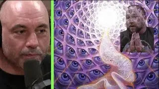 Joe Rogan | Theyre Mapping the DMT Realm??