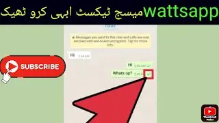 Wattsapp Blue Ticks problem ✅✅solved step by step