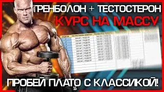 МОЩНЫЙ КУРС НА МАССУ! ТЕСТОСТЕРОН + ТРЕНБОЛОН. НАСТОЯЩАЯ КЛАССИКА 💪😎