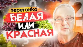 Самогоноварение. Что такое 