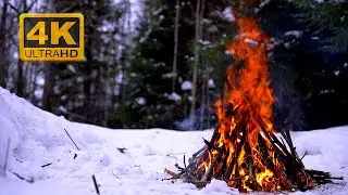 Relaxing Winter Bonfire ASMR for Deep Sleep & Stress Relief 🔥🌲