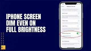 Why is my iPhone screen dim even on Full brightness and auto brightness turned off