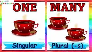 One and Many (Singular and Plural ) I Singular & Plural nouns for kids I  English Grammar for kids